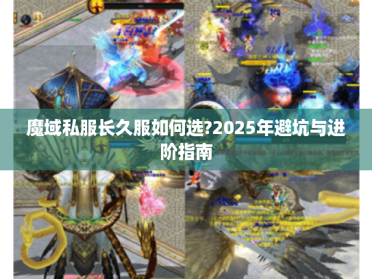 魔域私服长久服如何选?2025年避坑与进阶指南