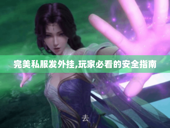 完美私服发外挂,玩家必看的安全指南