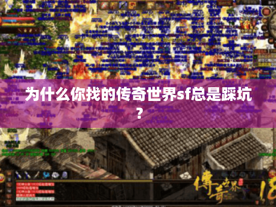 为什么你找的传奇世界sf总是踩坑? 为什么你找的传奇世界sf总是踩坑?
