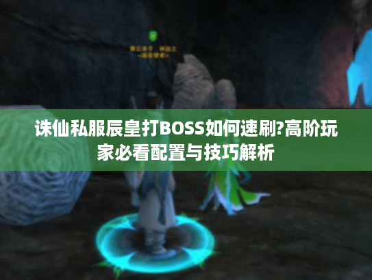诛仙私服辰皇打BOSS如何速刷?高阶玩家必看配置与技巧解析
