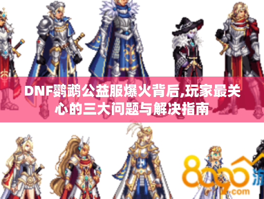 DNF鹦鹉公益服爆火背后,玩家最关心的三大问题与解决指南