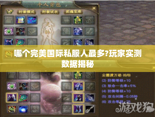 哪个完美国际私服人最多?玩家实测数据揭秘
