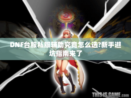 DNF台服私服辅助究竟怎么选?新手避坑指南来了