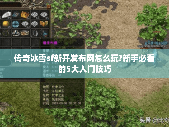 传奇冰雪sf新开发布网怎么玩?新手必看的5大入门技巧