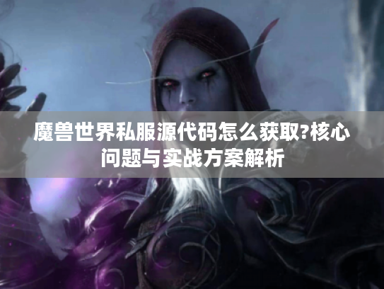 魔兽世界私服源代码怎么获取?核心问题与实战方案解析