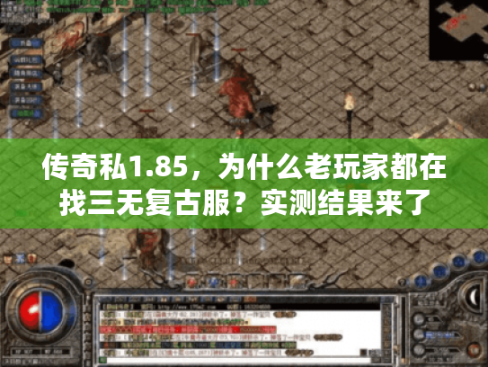 传奇私1.85，为什么老玩家都在找三无复古服？实测结果来了