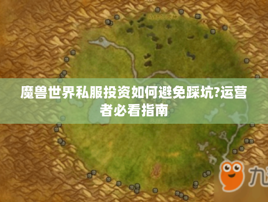 魔兽世界私服投资如何避免踩坑?运营者必看指南