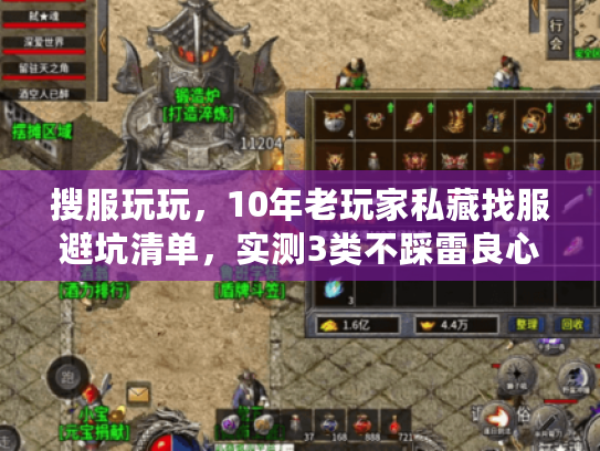 搜服玩玩，10年老玩家私藏找服避坑清单，实测3类不踩雷良心服！