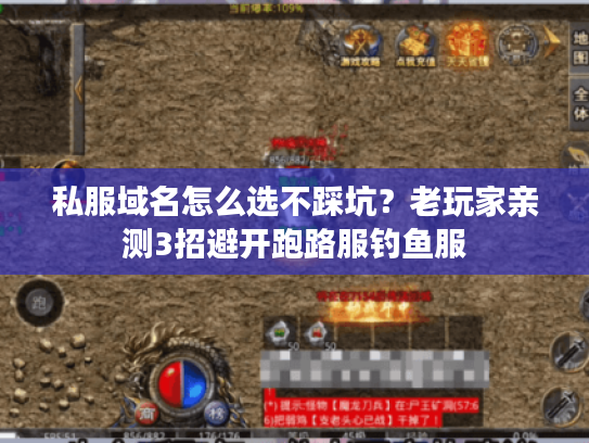 私服域名怎么选不踩坑?老玩家亲测3招避开跑路服钓鱼服 私服域名怎么选不踩坑?老玩家亲测3招避开跑路服钓鱼服