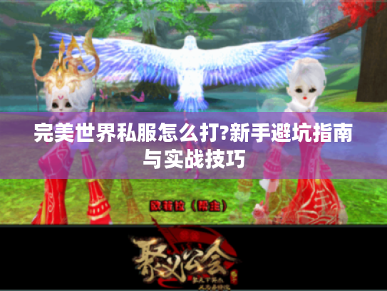 完美世界私服怎么打?新手避坑指南与实战技巧