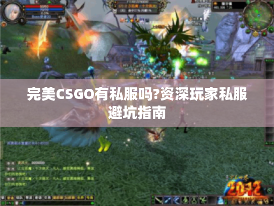 完美CSGO有私服吗?资深玩家私服避坑指南