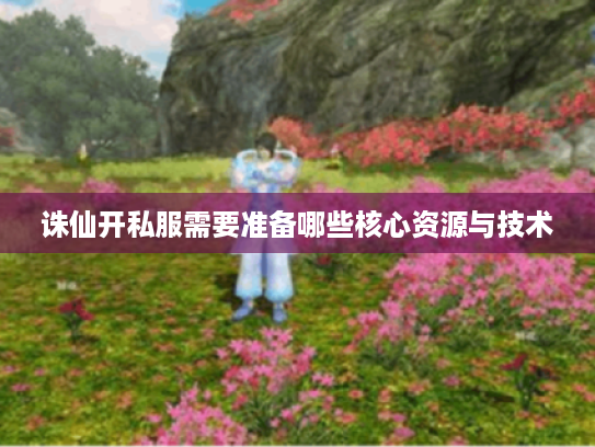 诛仙开私服需要准备哪些核心资源与技术