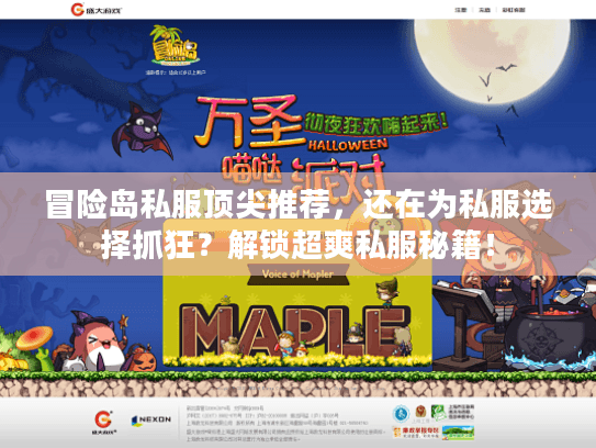 冒险岛私服顶尖推荐，还在为私服选择抓狂？解锁超爽私服秘籍！