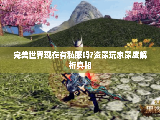 完美世界现在有私服吗?资深玩家深度解析真相
