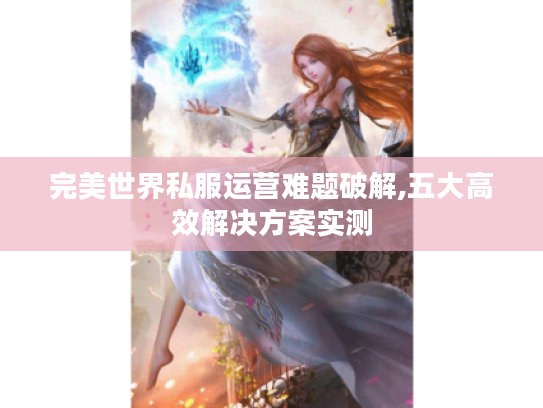 完美世界私服运营难题破解,五大高效解决方案实测