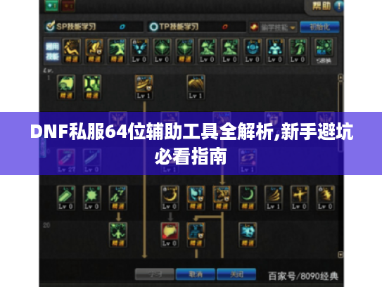 DNF私服64位辅助工具全解析,新手避坑必看指南