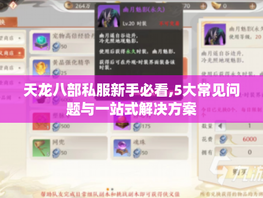 天龙八部私服新手必看,5大常见问题与一站式解决方案