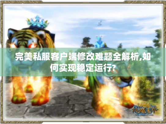 完美私服客户端修改难题全解析,如何实现稳定运行?