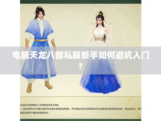 电脑天龙八部私服新手如何避坑入门?