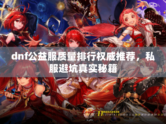 dnf公益服质量排行权威推荐，私服避坑真实秘籍