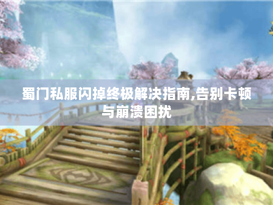 蜀门私服闪掉终极解决指南,告别卡顿与崩溃困扰