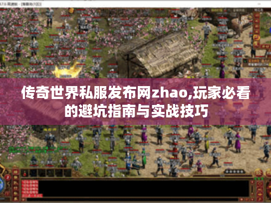 传奇世界私服发布网zhao,玩家必看的避坑指南与实战技巧