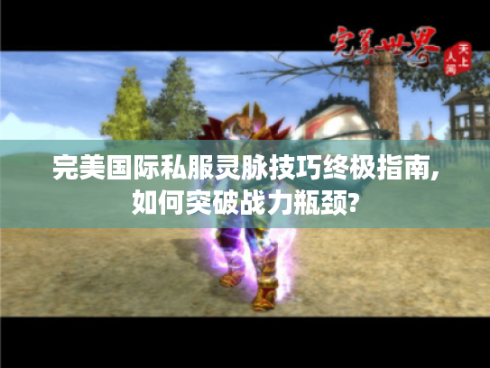 完美国际私服灵脉技巧终极指南,如何突破战力瓶颈?