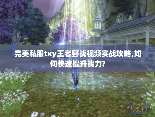 完美私服txy王者野战视频实战攻略,如何快速提升战力?