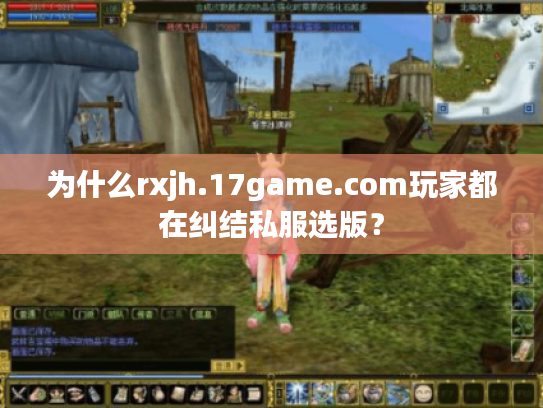 为什么rxjh.17game.com玩家都在纠结私服选版？