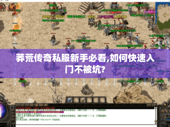 莽荒传奇私服新手必看,如何快速入门不被坑?