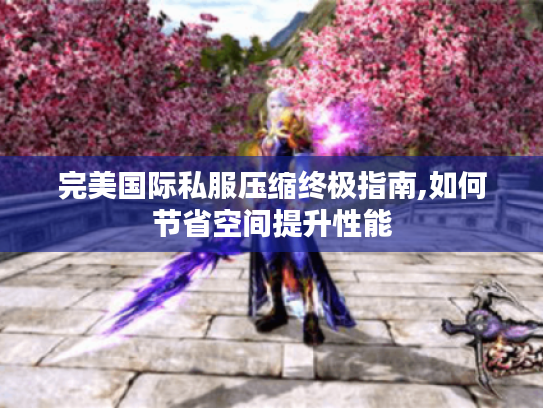 完美国际私服压缩终极指南,如何节省空间提升性能