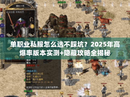 单职业私服怎么选不踩坑？2025年高爆率版本实测+隐藏攻略全揭秘