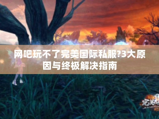 网吧玩不了完美国际私服?3大原因与终极解决指南