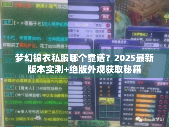 梦幻锦衣私服哪个靠谱？2025最新版本实测+绝版外观获取秘籍