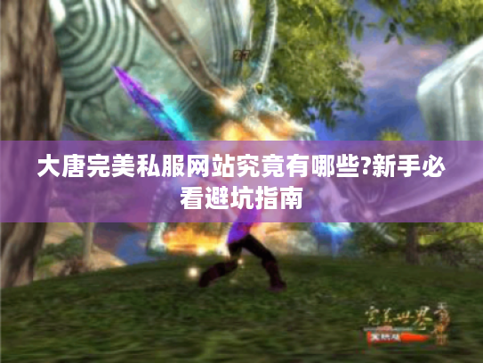 大唐完美私服网站究竟有哪些?新手必看避坑指南