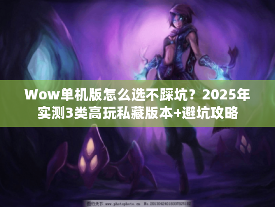 Wow单机版怎么选不踩坑?2025年实测3类高玩私藏版本+避坑攻略 Wow单机版怎么选不踩坑?2025年实测3类高玩私藏版本+避坑攻略