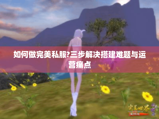 如何做完美私服?三步解决搭建难题与运营痛点
