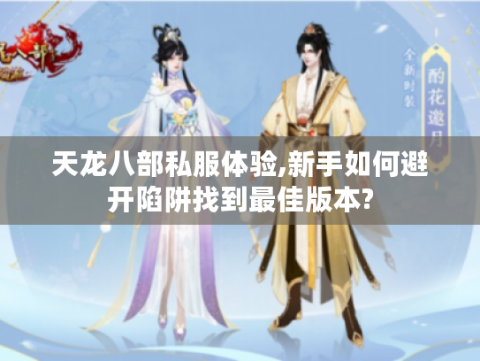 天龙八部私服体验,新手如何避开陷阱找到最佳版本? 天龙八部私服体验,新手如何避开陷阱找到最佳版本?