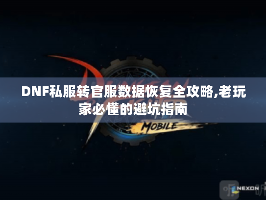 DNF私服转官服数据恢复全攻略,老玩家必懂的避坑指南