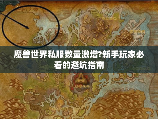 魔兽世界私服数量激增?新手玩家必看的避坑指南