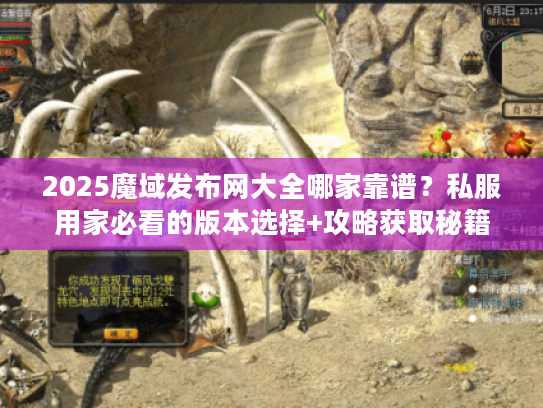 2025魔域发布网大全哪家靠谱？私服用家必看的版本选择+攻略获取秘籍
