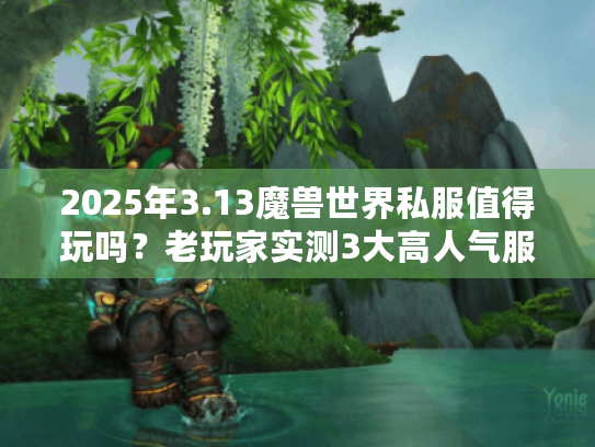 2025年3.13魔兽世界私服值得玩吗？老玩家实测3大高人气服+避坑技巧