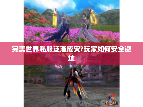 完美世界私服泛滥成灾?玩家如何安全避坑