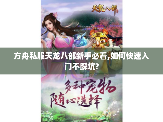 方舟私服天龙八部新手必看,如何快速入门不踩坑? 方舟私服天龙八部新手必看,如何快速入门不踩坑?