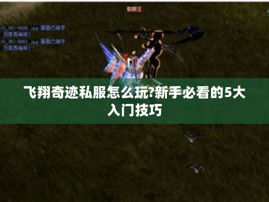 飞翔奇迹私服怎么玩?新手必看的5大入门技巧