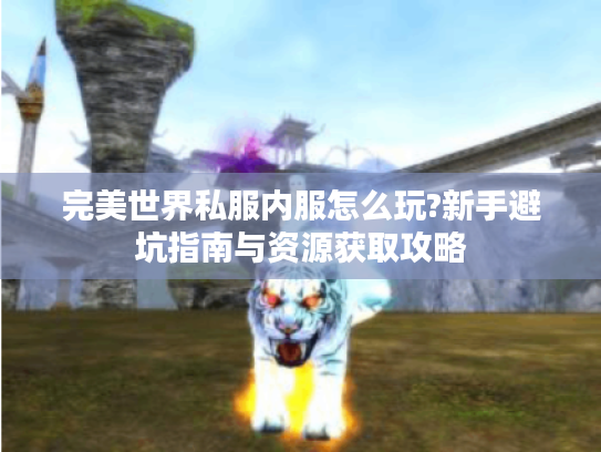 完美世界私服内服怎么玩?新手避坑指南与资源获取攻略