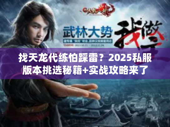 找天龙代练怕踩雷？2025私服版本挑选秘籍+实战攻略来了