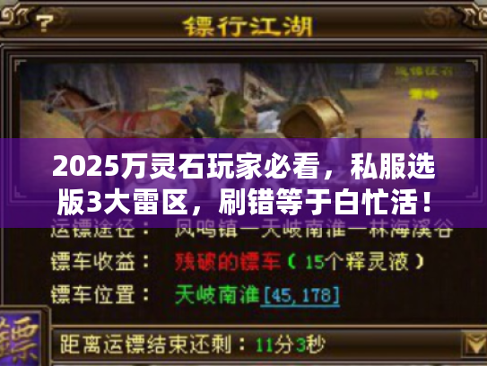 2025万灵石玩家必看，私服选版3大雷区，刷错等于白忙活！