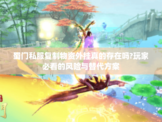 蜀门私服复制物资外挂真的存在吗?玩家必看的风险与替代方案