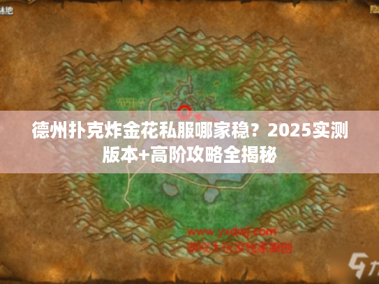 德州扑克炸金花私服哪家稳？2025实测版本+高阶攻略全揭秘